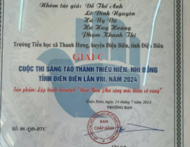 giay-chung-nhan-giai-C-SPTTN-cap-tinh.png